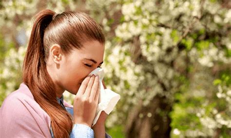 bahar alerjisine ne iyi gelir doğal
